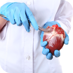 Кардиохирургия