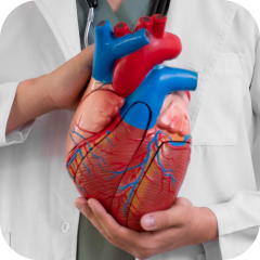 Сердечно-сосудистая хирургия