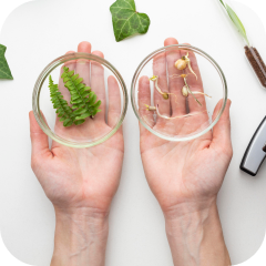 Экологическая медицина