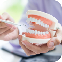 Общая стоматология