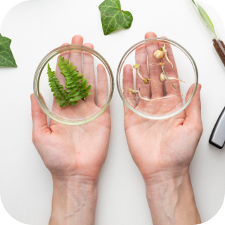 Натуропатия