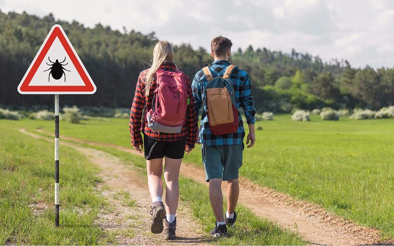 Болезнь Лайма: симптомы, диагностика и лечение